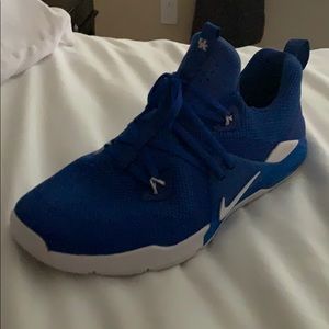 Nike Kentucky shoes